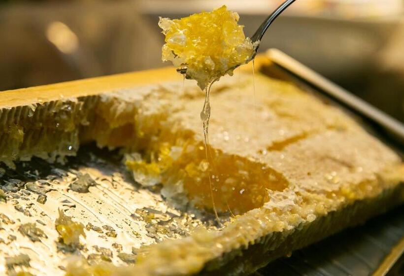 호텔 Gottwalds Inn