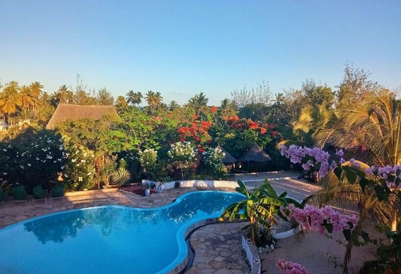 酒店 Lucrezia's Garden Zanzibar