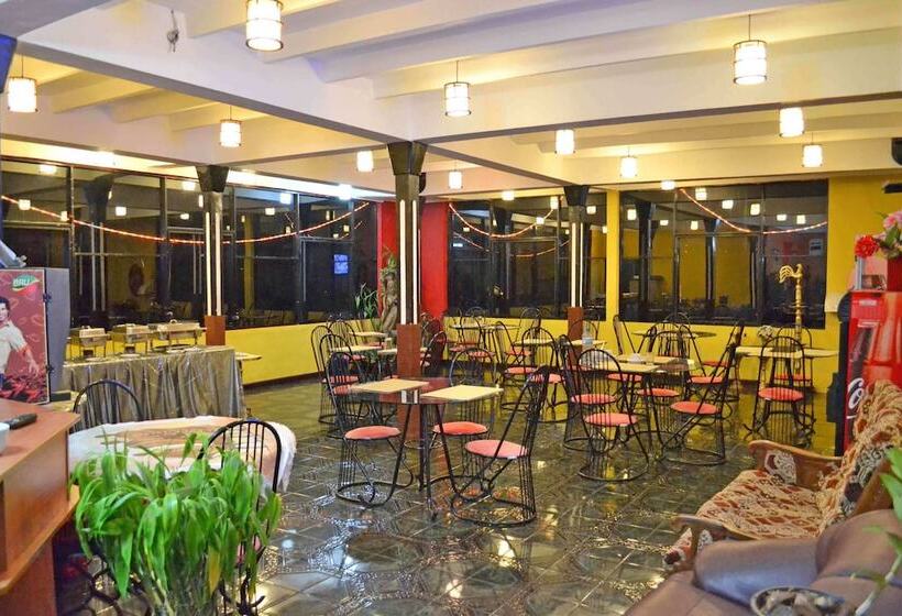 Отель Slightly Chilled Yellow House