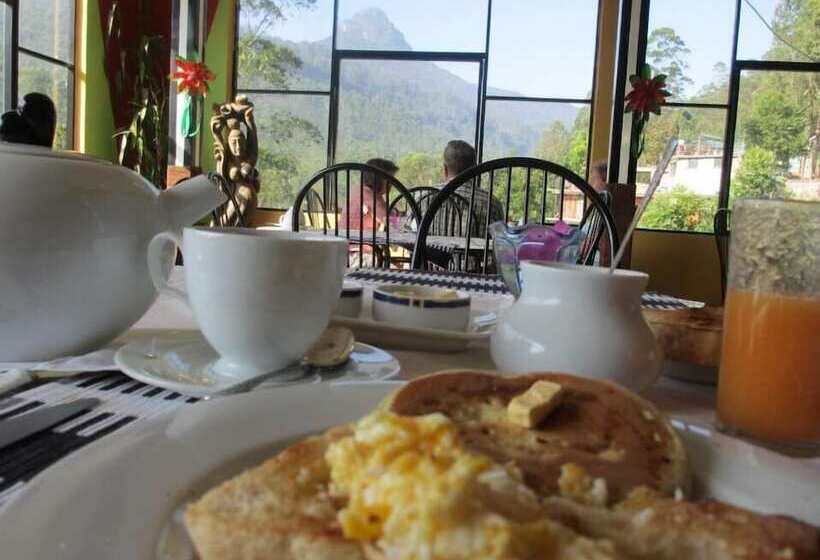 Отель Slightly Chilled Yellow House