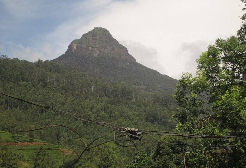 Отель Slightly Chilled Yellow House