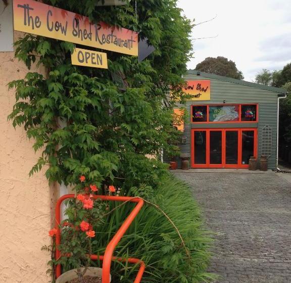 فندق صغير The Lazy Cow Accommodation