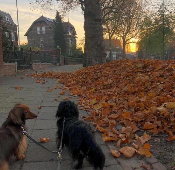 B&b Villa Anna, Venlo