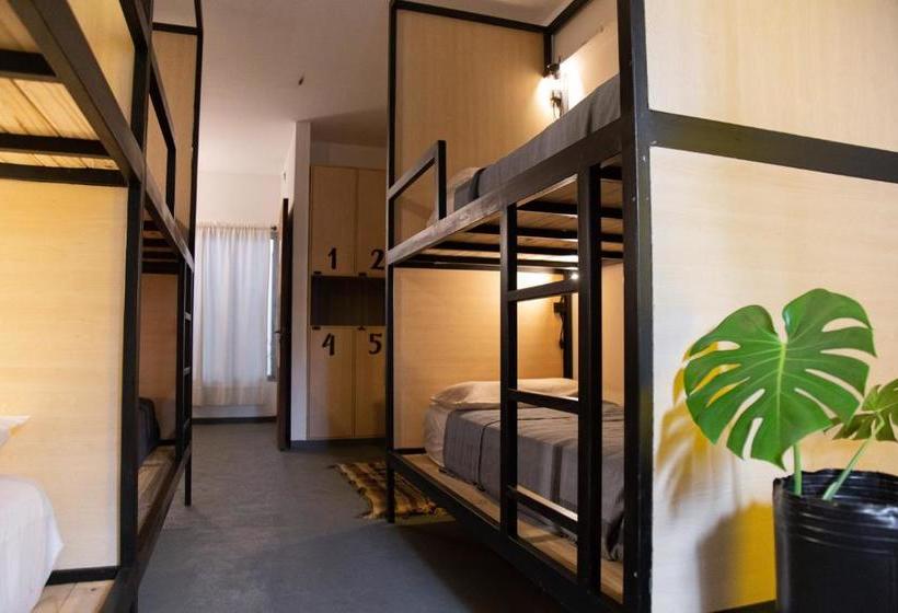 مبيت وإفطار Hostel Cha