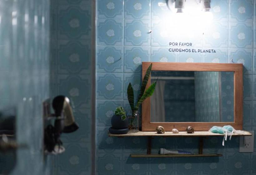 مبيت وإفطار Hostel Cha