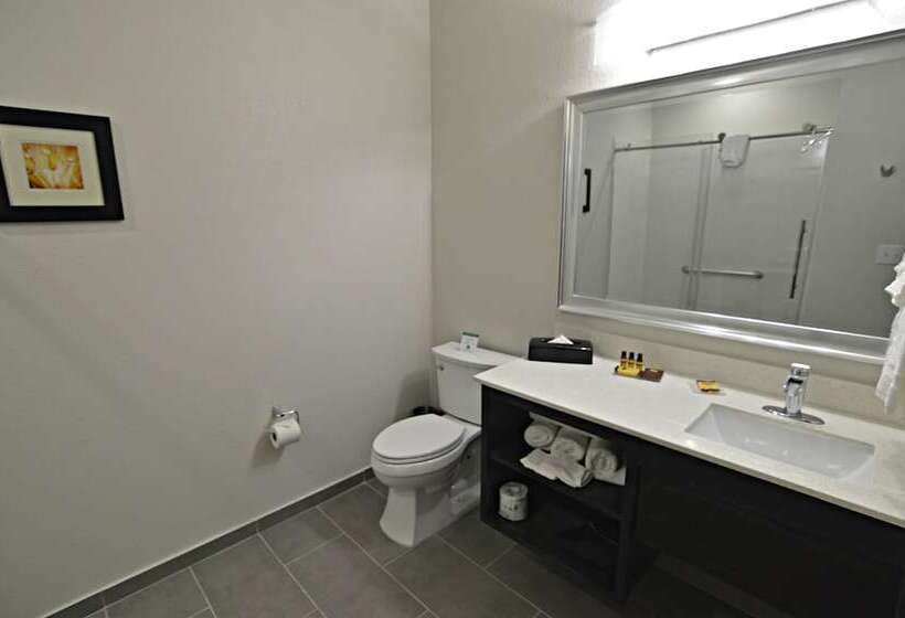 فندق Best Western Plus Waller