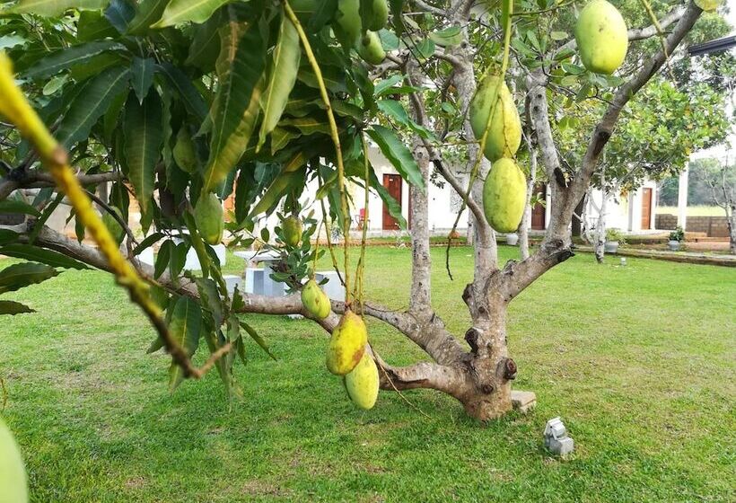 Отель Four Points Resort   Anuradhapura