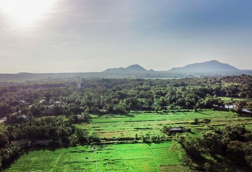 Отель Four Points Resort   Anuradhapura