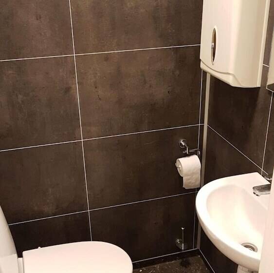 בית מלון כפרי Gudvangen Budget