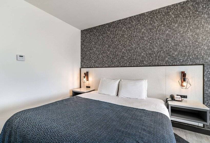 Hy Lo Hotel, Ascend Hotel Collection