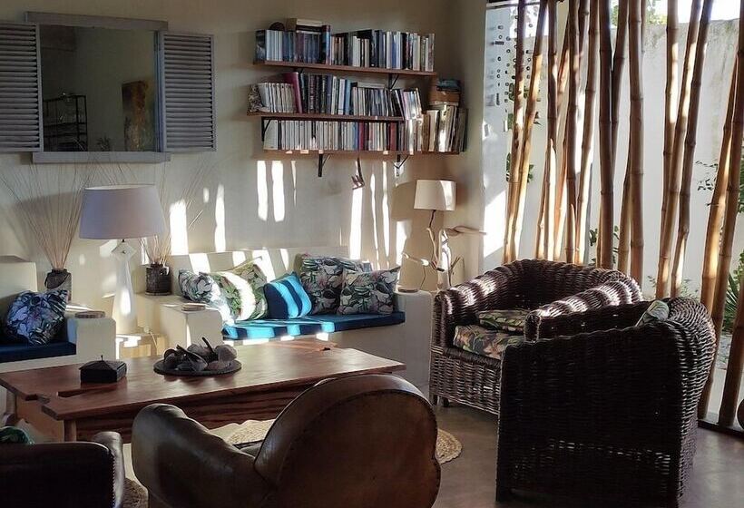 膳宿费 Chill Mango