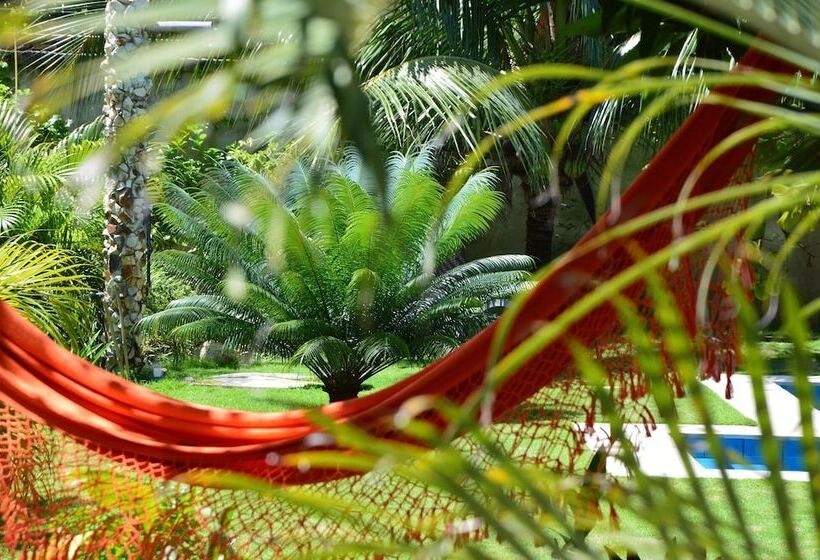 Пансион Chill Mango