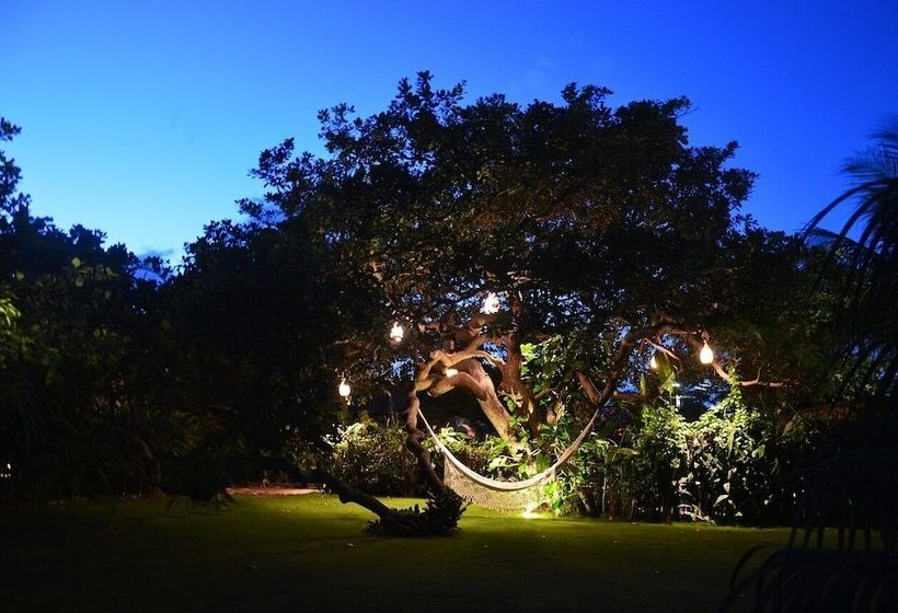 膳宿费 Chill Mango