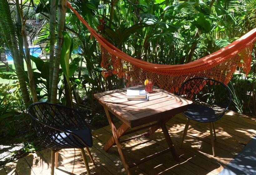 膳宿费 Chill Mango