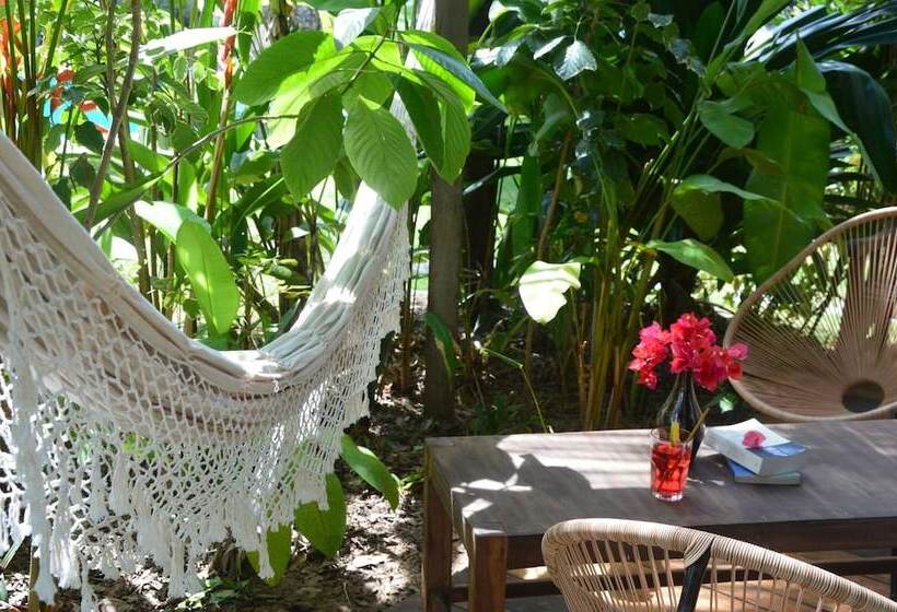 膳宿费 Chill Mango