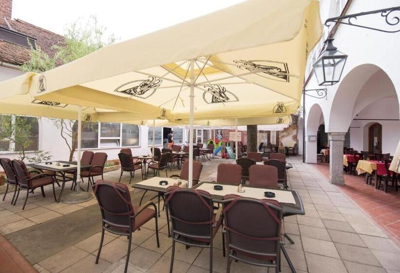 پانسیون Guesthouse Stari Mayr