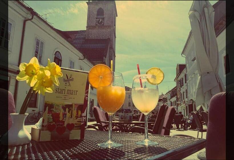 پانسیون Guesthouse Stari Mayr