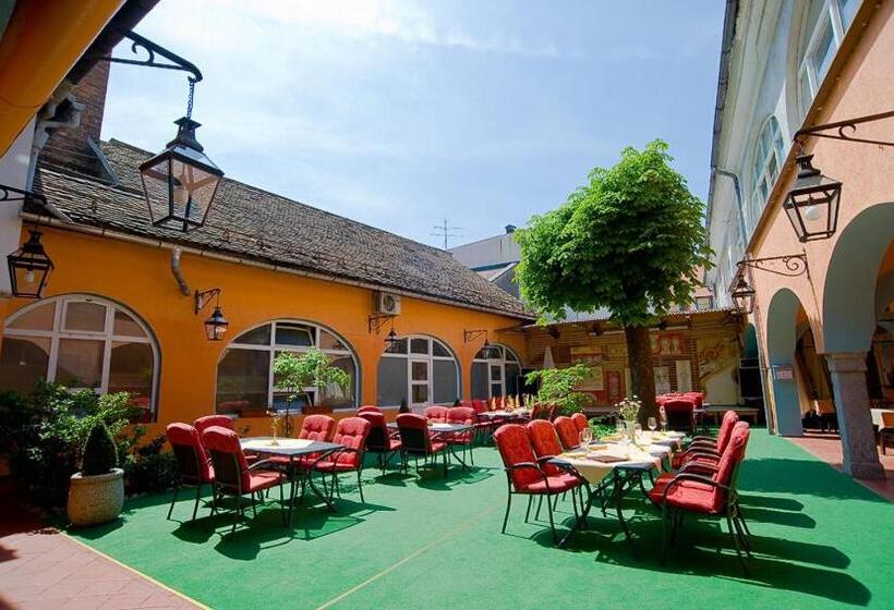 پانسیون Guesthouse Stari Mayr