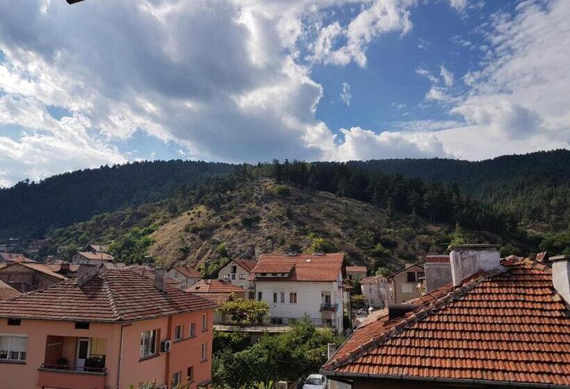 بنسيون Sky Garden House