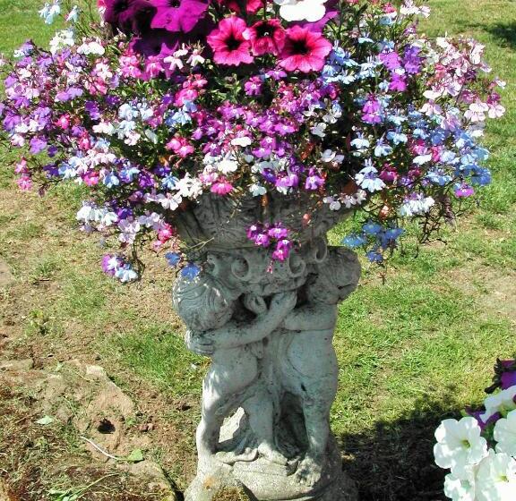 פנסיון Whitehaven Guest House