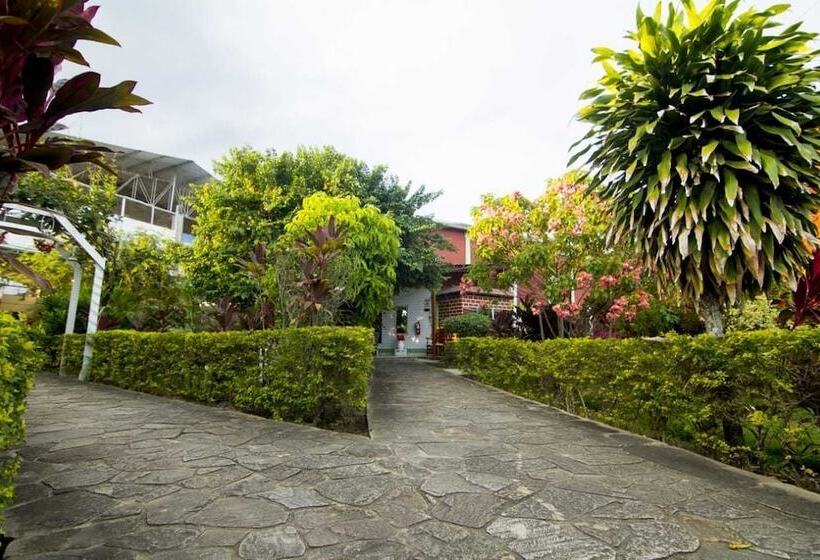 هاستل Posada Lodge