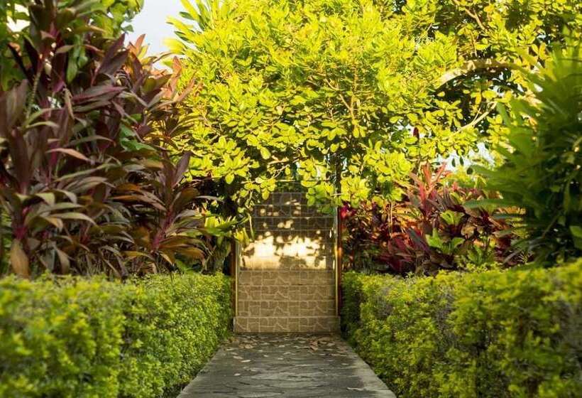 هاستل Posada Lodge