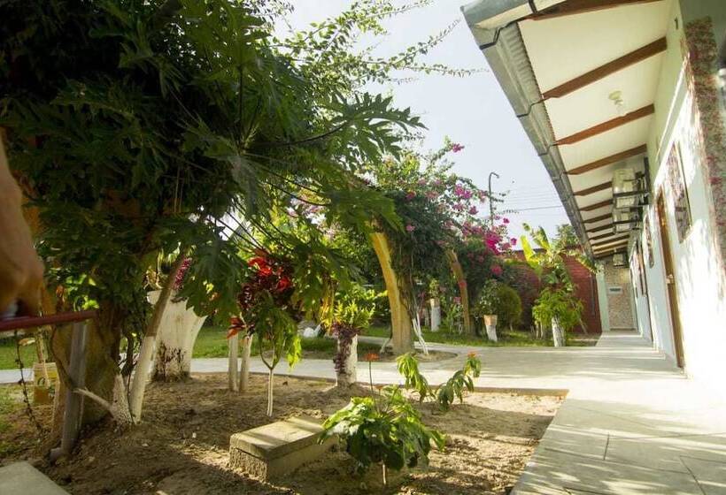 هاستل Posada Lodge