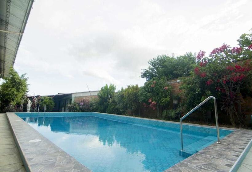 هاستل Posada Lodge