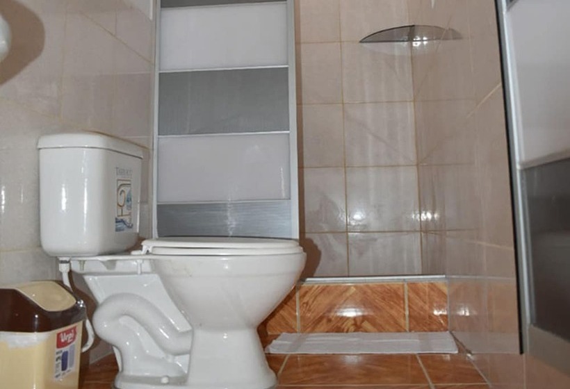 هاستل Posada Lodge