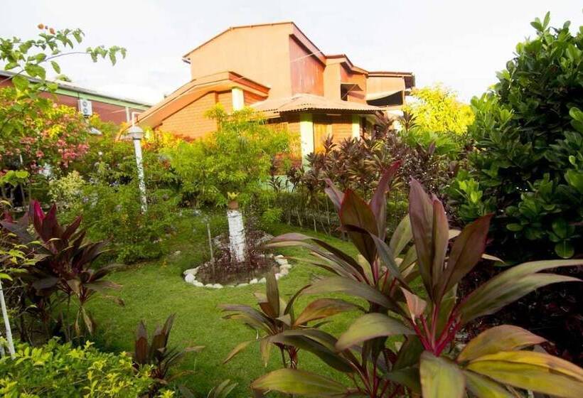 هاستل Posada Lodge