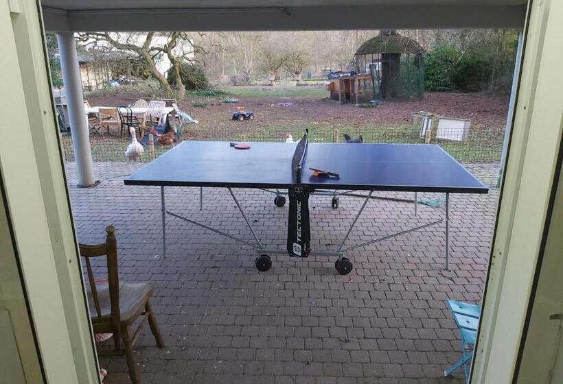 ベッドアンドブレックファースト Château Lambert Moulinsart Hotel, Shuttle Airport, Long Term Parking, Snooker, Large Terrasse, Dinne