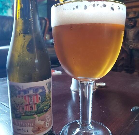 ベッドアンドブレックファースト Château Lambert Moulinsart Hotel, Shuttle Airport, Long Term Parking, Snooker, Large Terrasse, Dinne