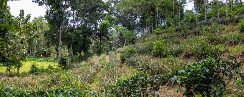 호텔 Gurubeula Leisure As You Wish