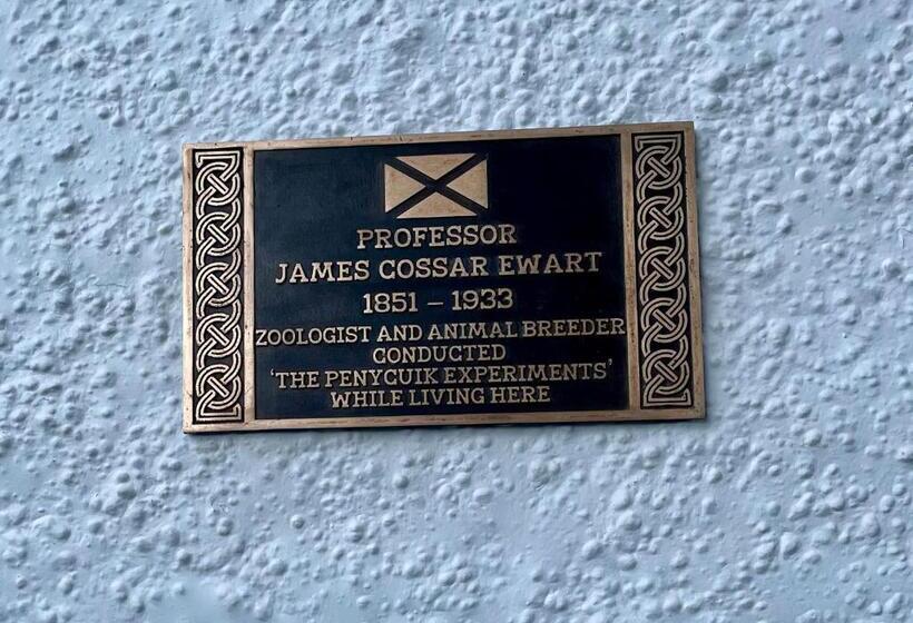 בית מלון כפרי Navaar House