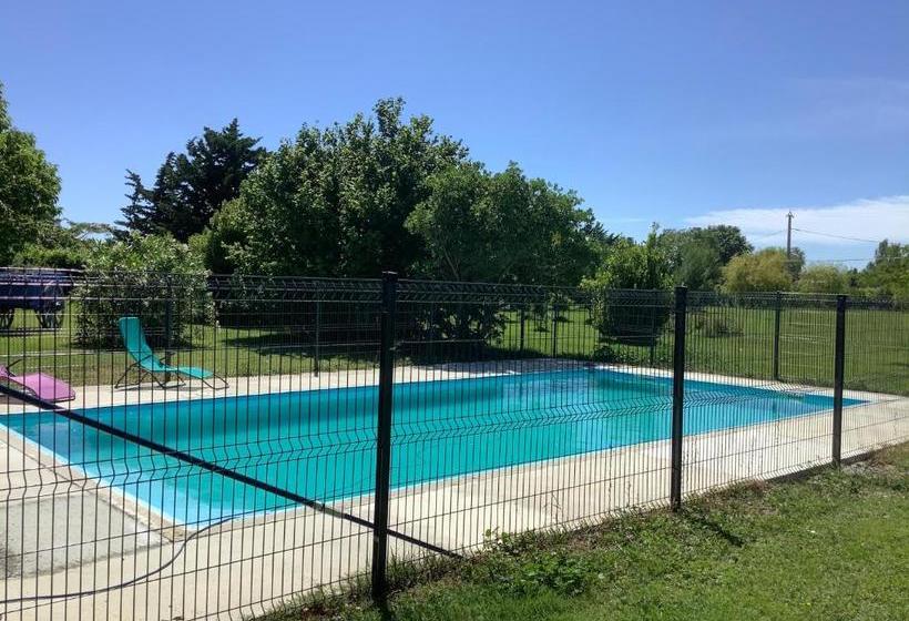 بنسيون Le Papillon De Soie