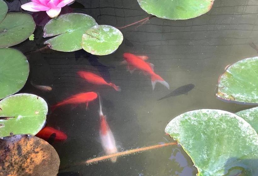 بنسيون Le Papillon De Soie