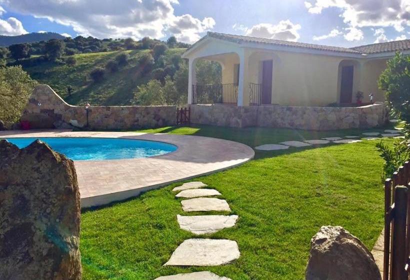 مبيت وإفطار Agriturismo Muru Idda