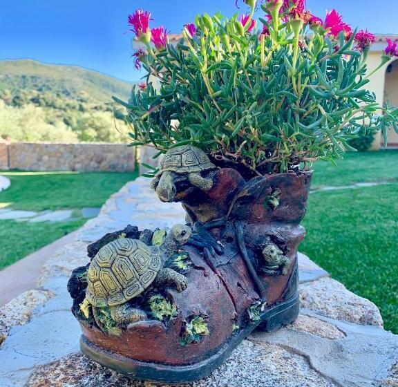 민박 Agriturismo Muru Idda