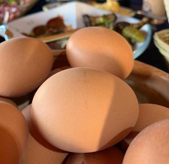 مبيت وإفطار Agriturismo Muru Idda