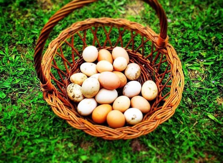 مبيت وإفطار Agriturismo Muru Idda