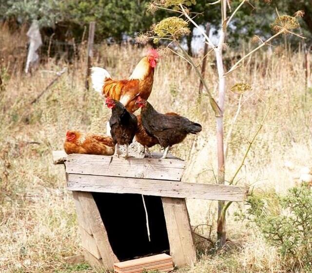 민박 Agriturismo Muru Idda