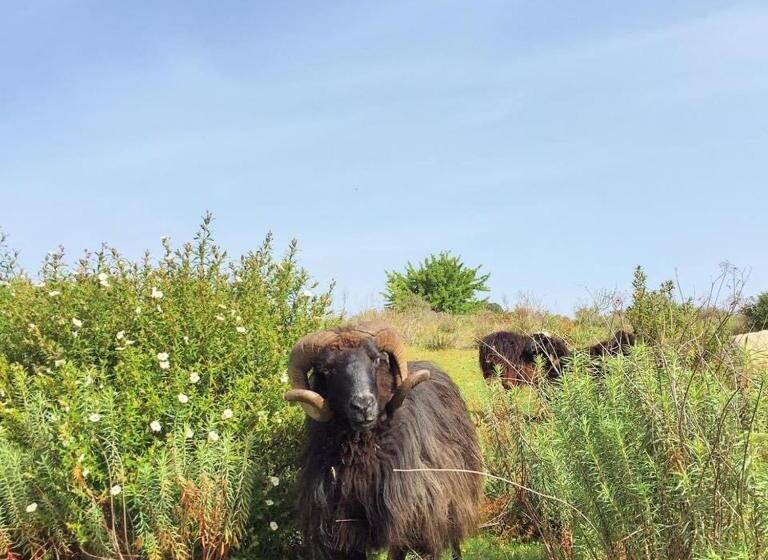 민박 Agriturismo Muru Idda