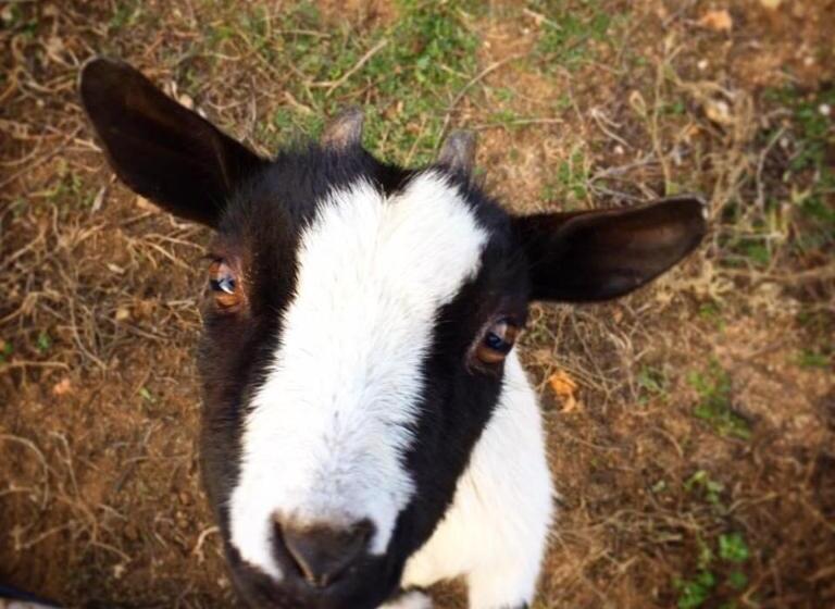 민박 Agriturismo Muru Idda