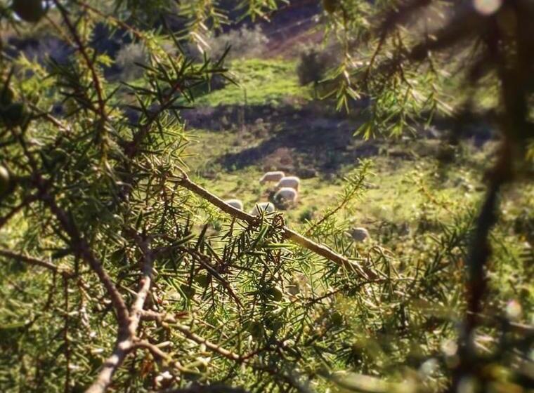 민박 Agriturismo Muru Idda