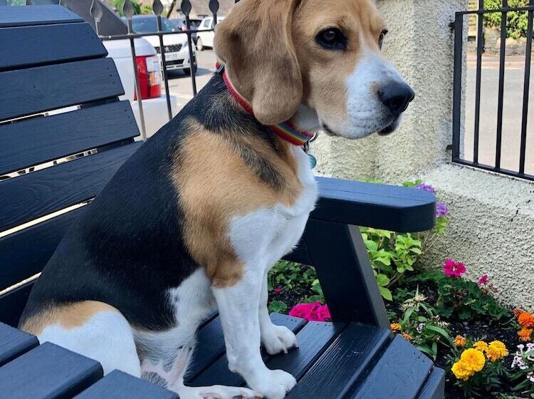 민박 Salisbury Guest House