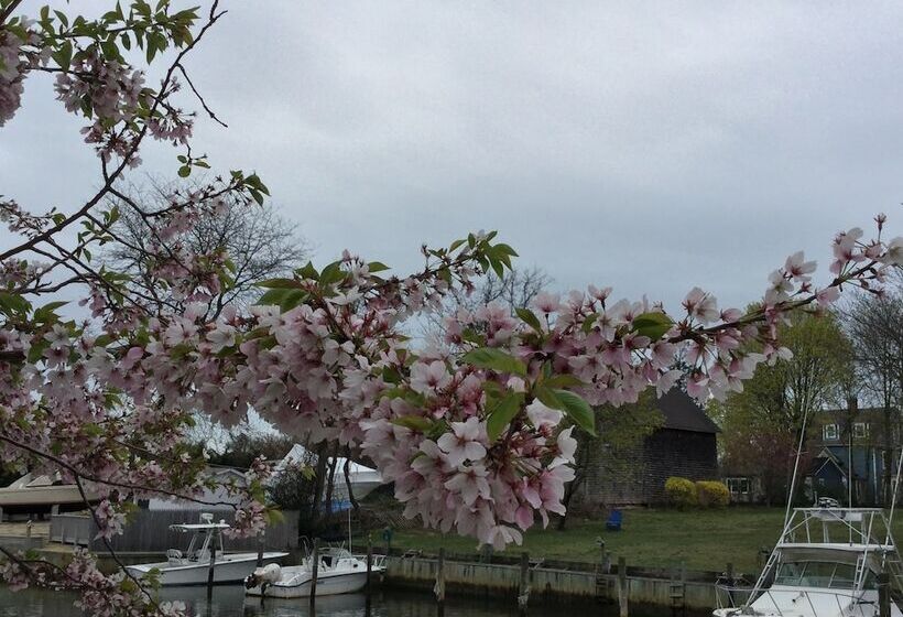 مبيت وإفطار The Ocean Bay House