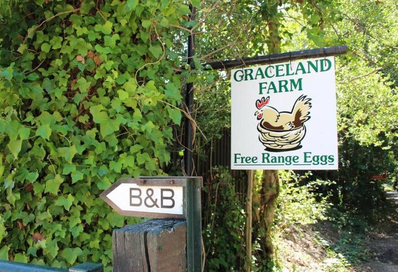 Graceland Farm B&b