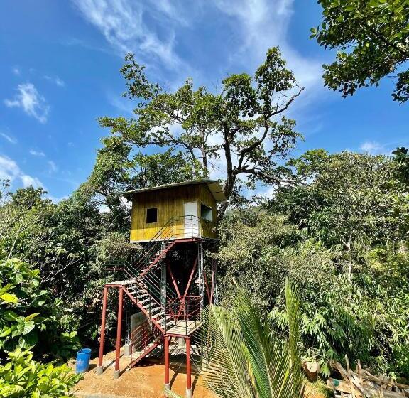 Отель Nutmeg Valley