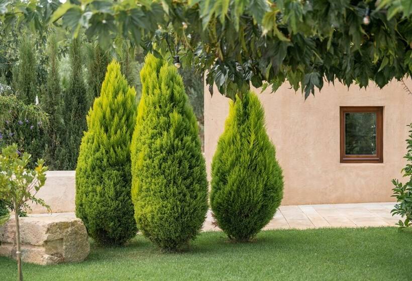 בית מלון כפרי Safragell Ibiza Suites & Spa