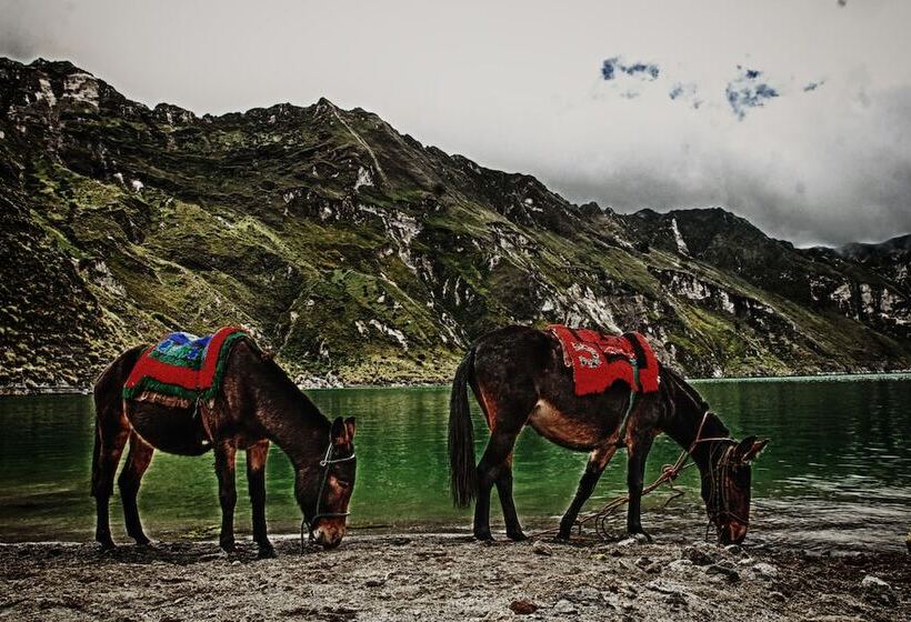 پانسیون Hostal Dulce Hogar